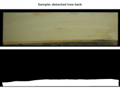 Detected tree bark.png